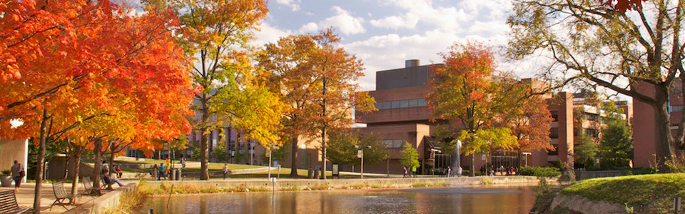 "Featured Diversity Institution:  University of Maryland Baltimore County"